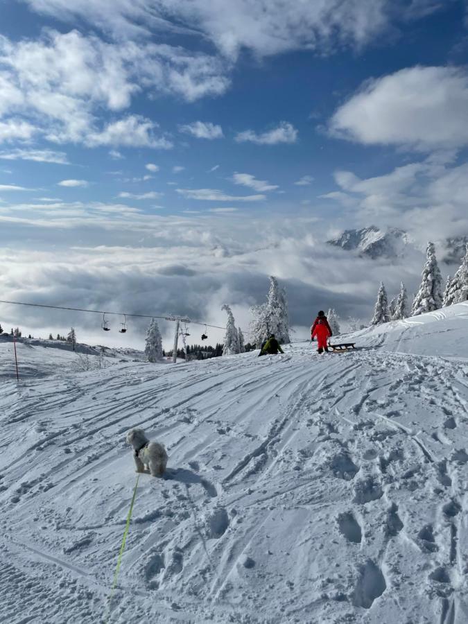 הוילה Stahovica Velika Planina Koca Kekec מראה חיצוני תמונה